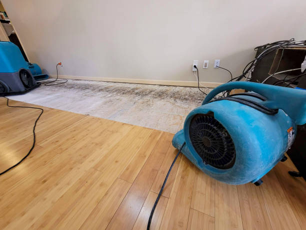 Professional Basement Flood Cleanup technician working in Jaffrey, NH